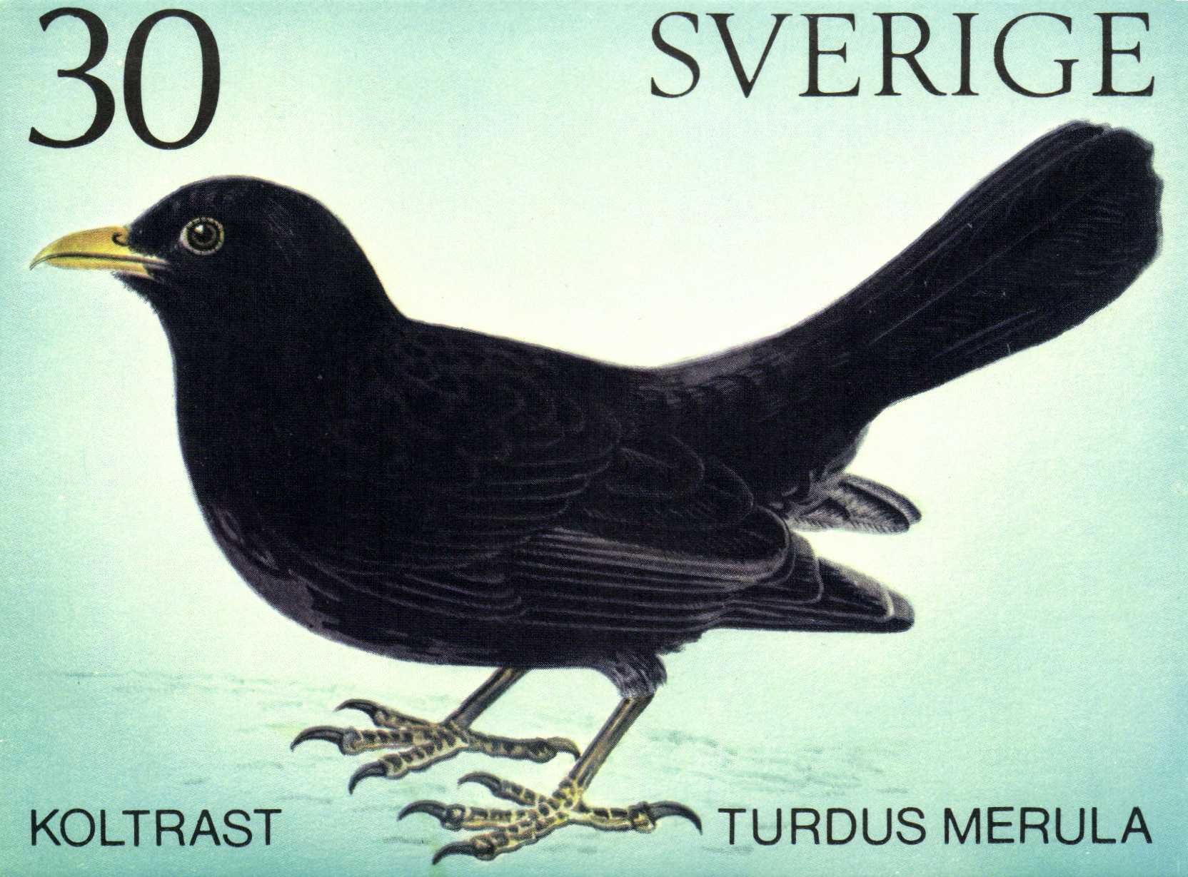 PT-kort A5 - tryck f�r mer info