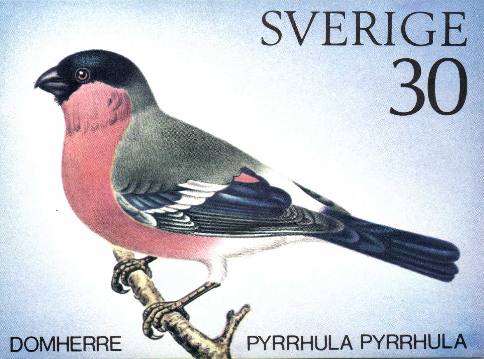PT-kort A7 - tryck f�r mer info